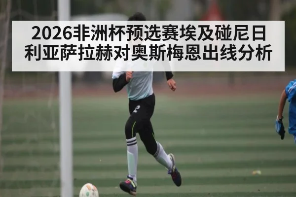 2026非洲杯预选赛埃及碰尼日利亚萨拉赫对奥斯梅恩出线分析
