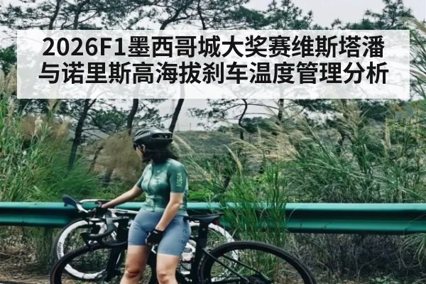 2026F1墨西哥城大奖赛维斯塔潘与诺里斯高海拔刹车温度管理分析